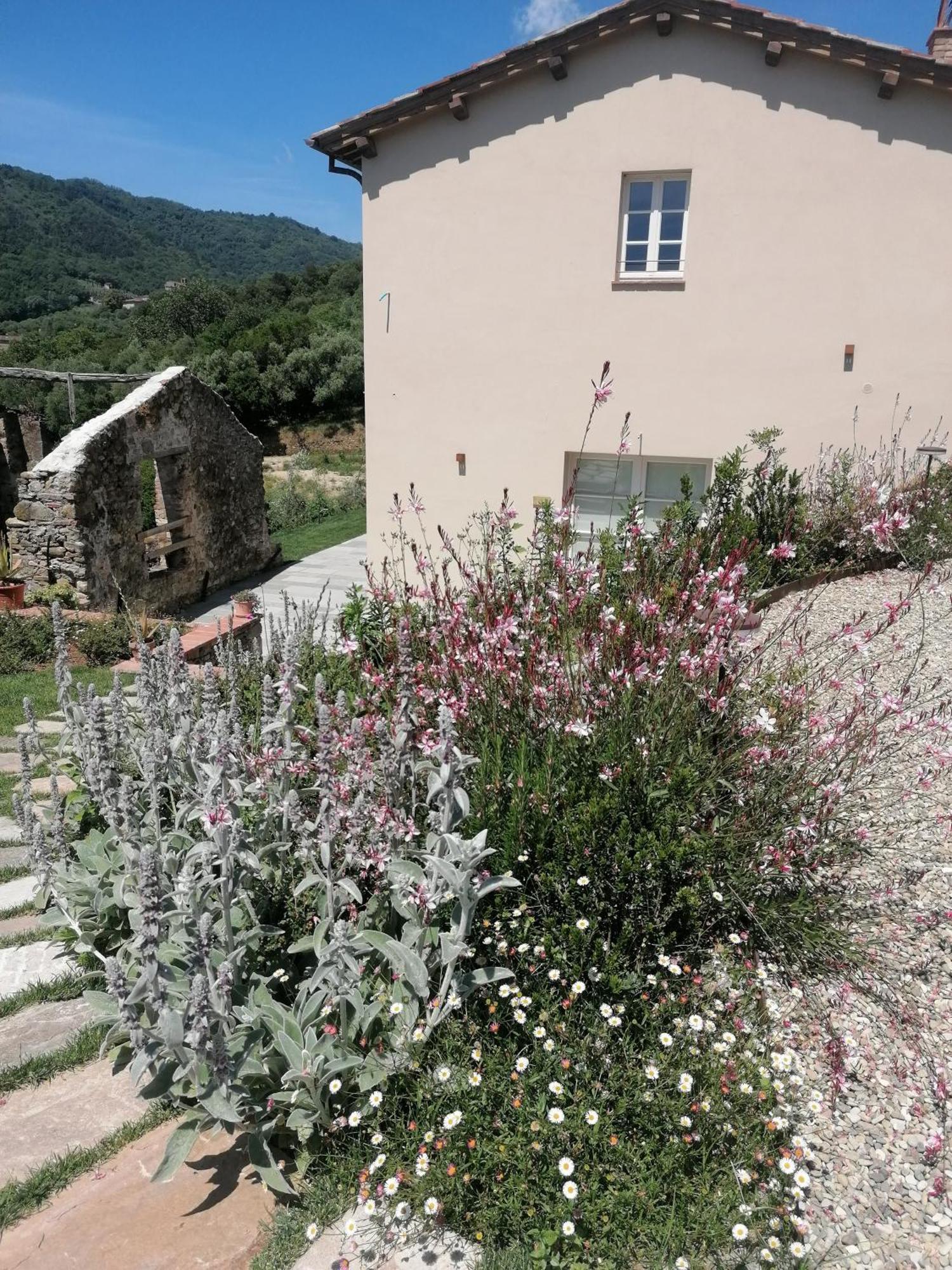 Il Colle